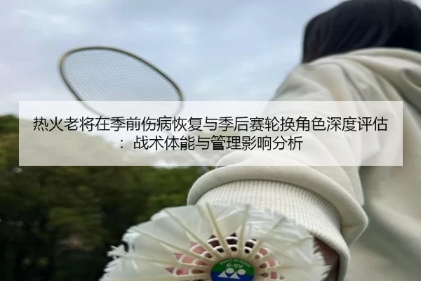 热火老将在季前伤病恢复与季后赛轮换角色深度评估：战术体能与管理影响分析